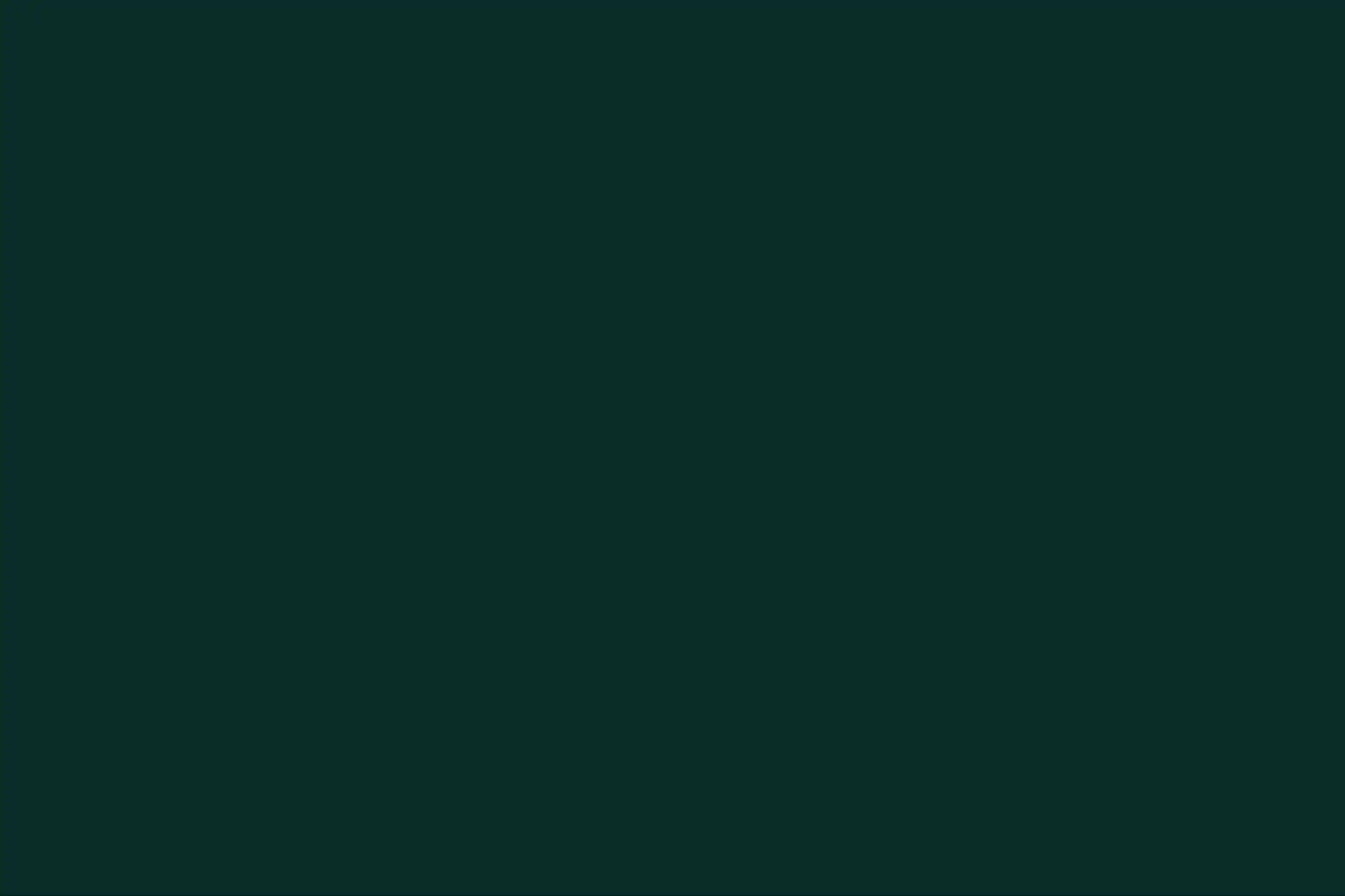 BTMXMY_SOLID_BACKGROUND