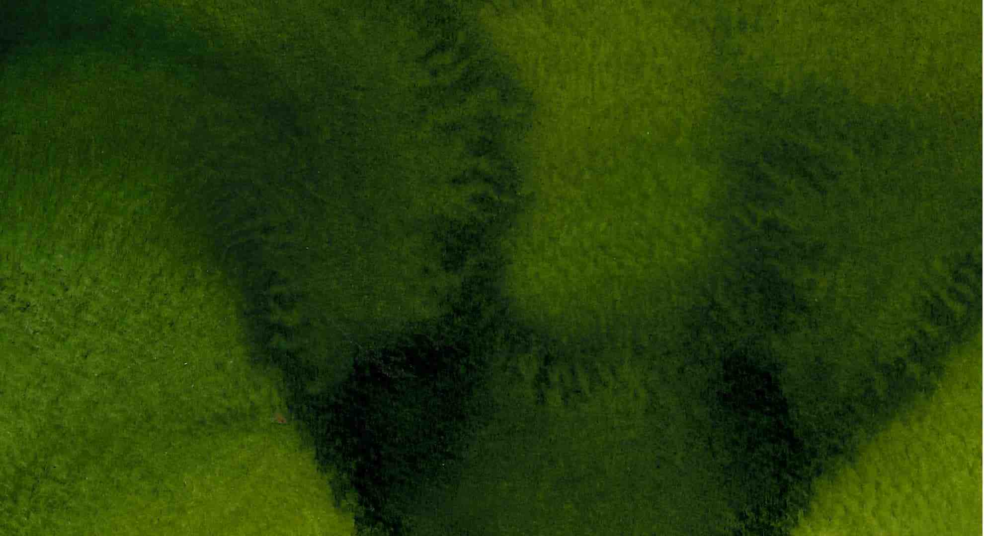 Texture background