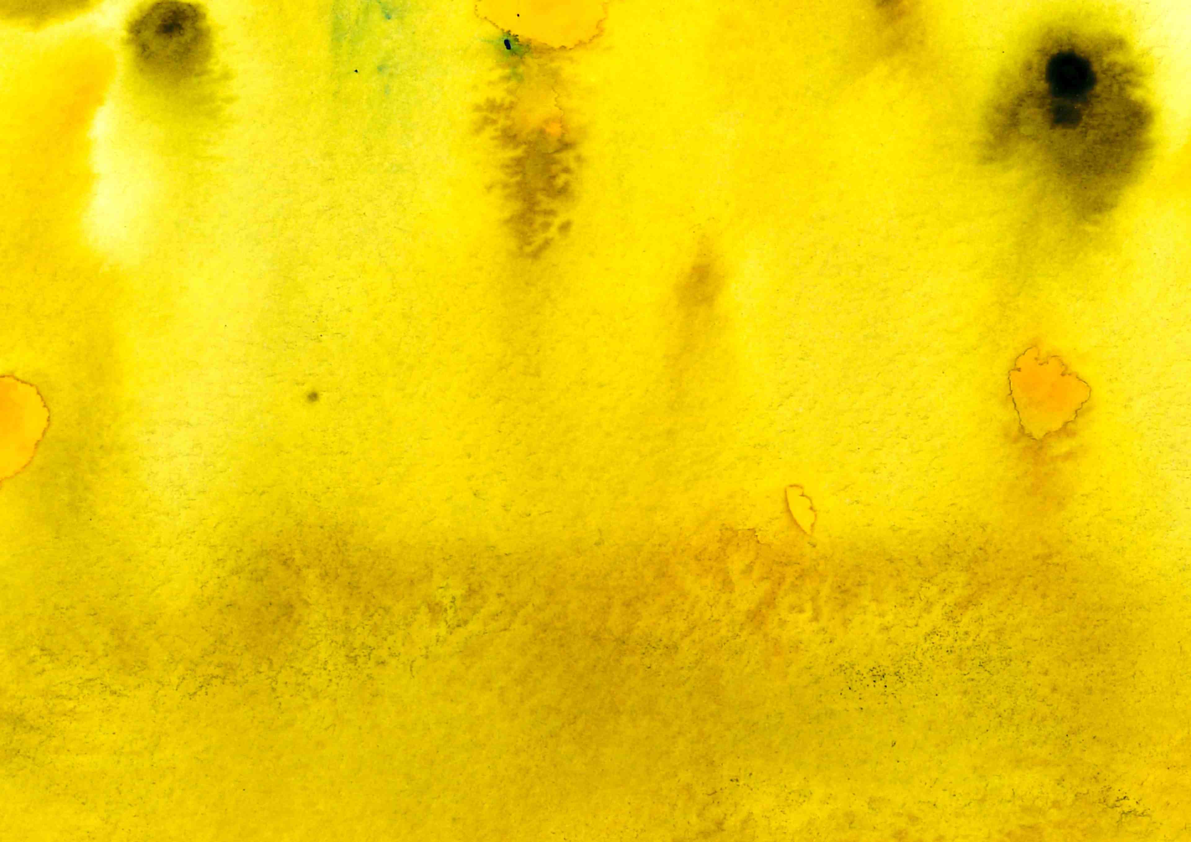 washed leaves