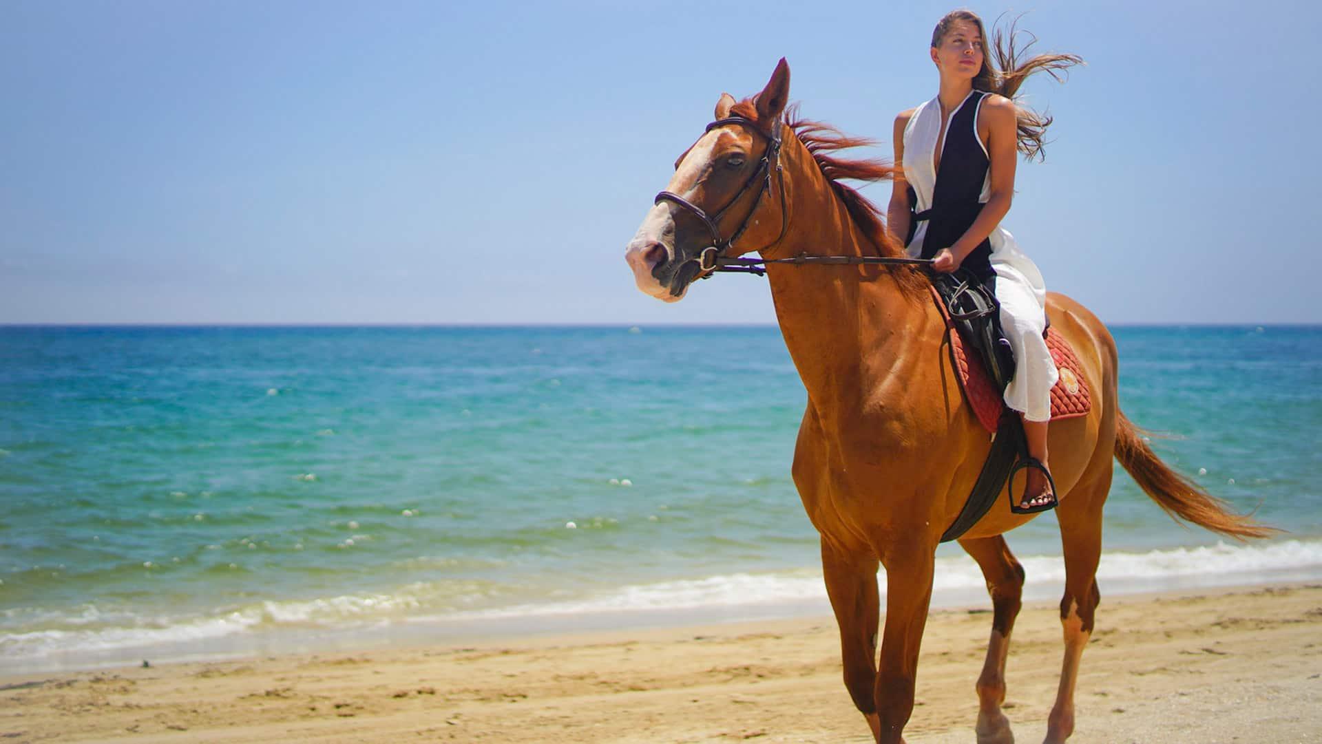 Where to Go Experiences Morocco