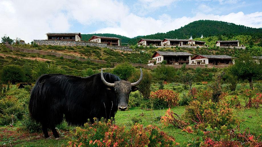 Luxury Resort in Shangri-La, Yunnan China | Banyan Tree Ringha
