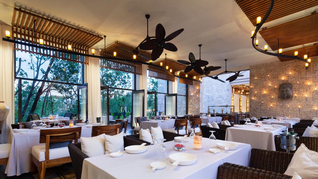 Cello Dining in Mayakoba Banyan Tree