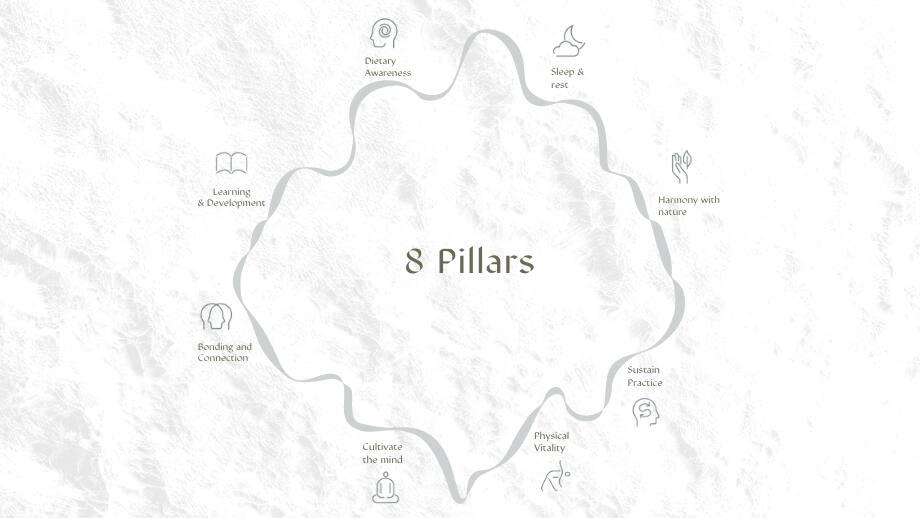wellbeing pillars