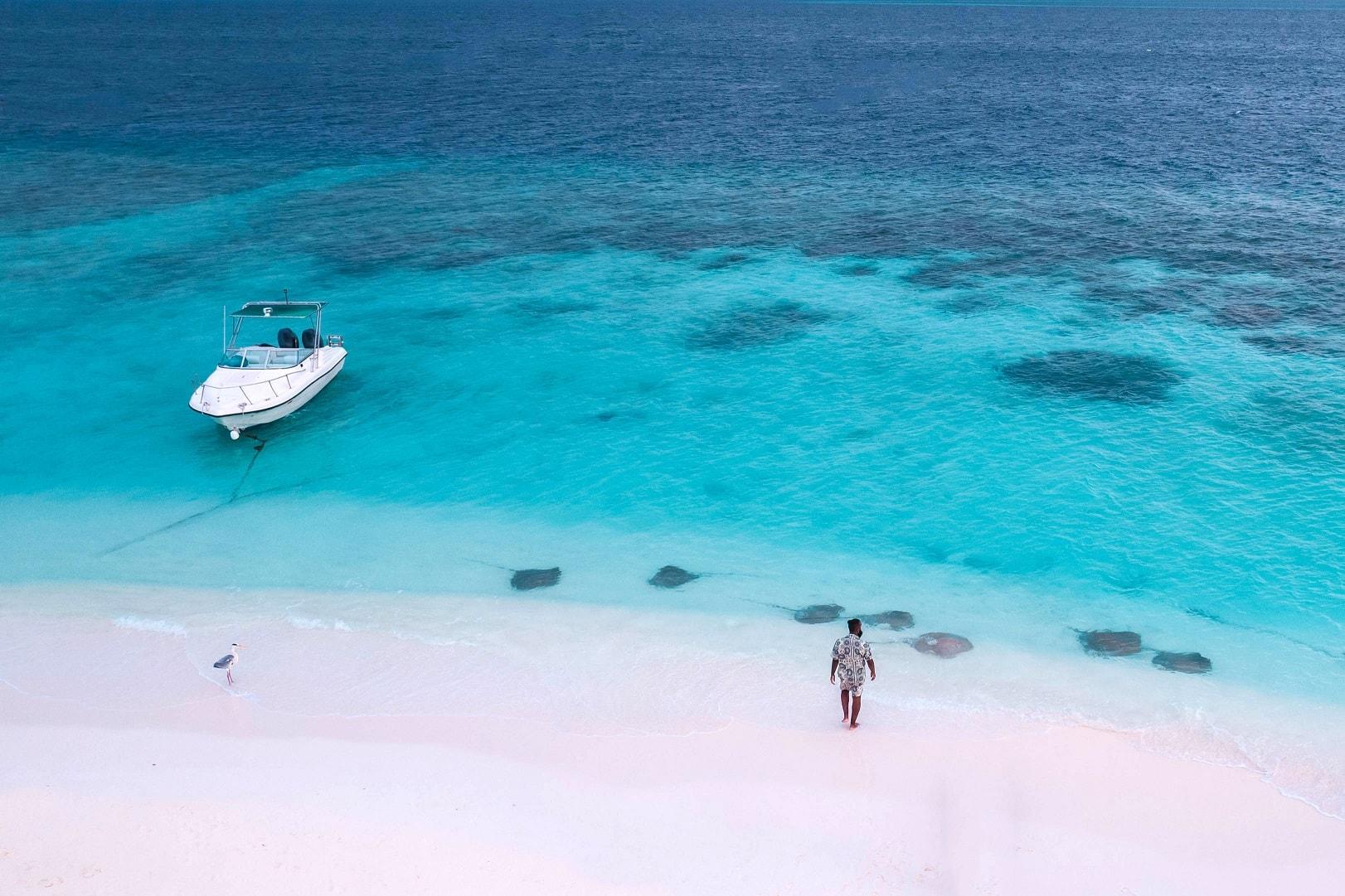 Banyan Tree Vabbinfaru Maldives Stingrays