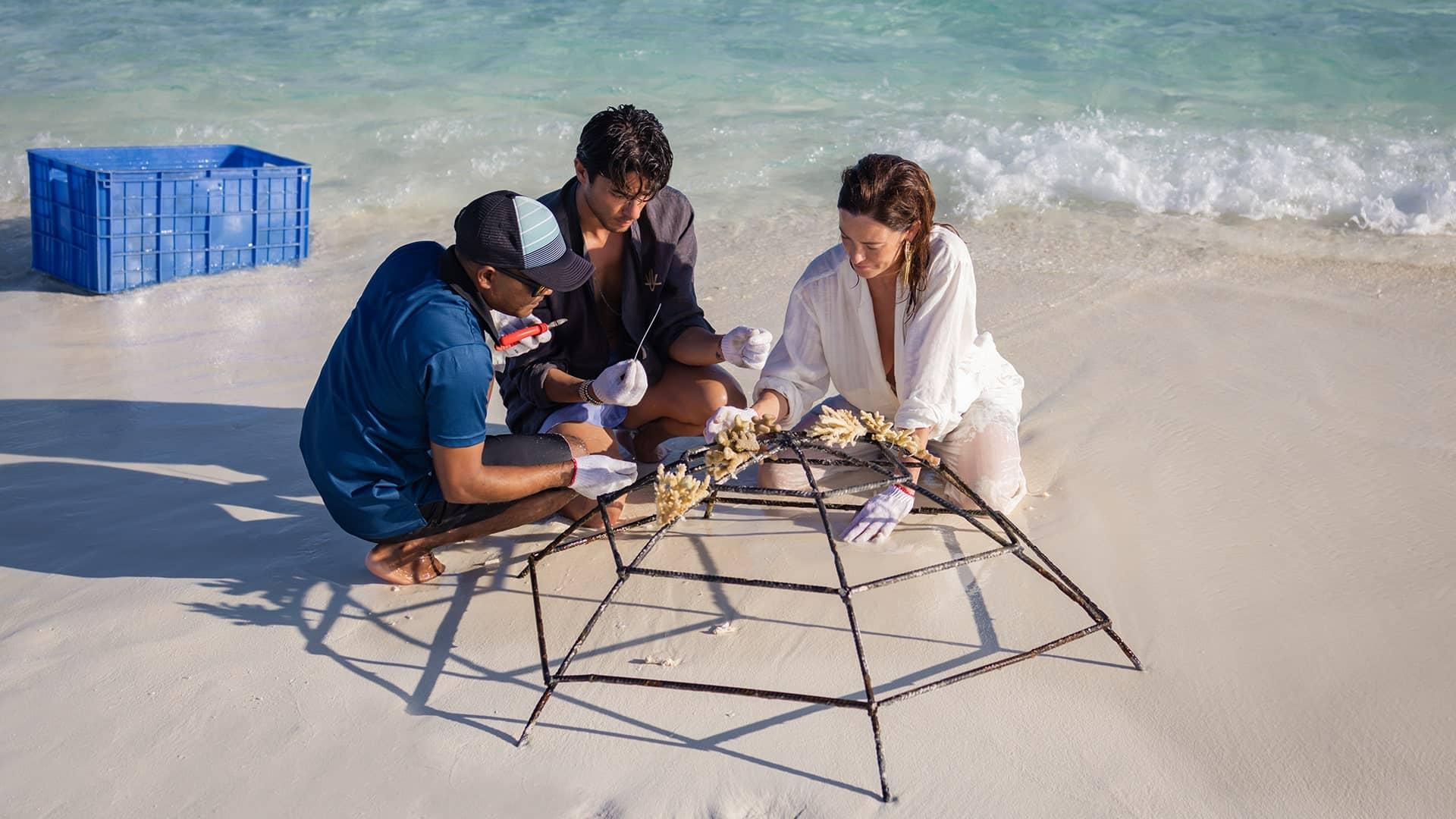 Banyan Tree Vabbinfaru Coral Reef Restoration