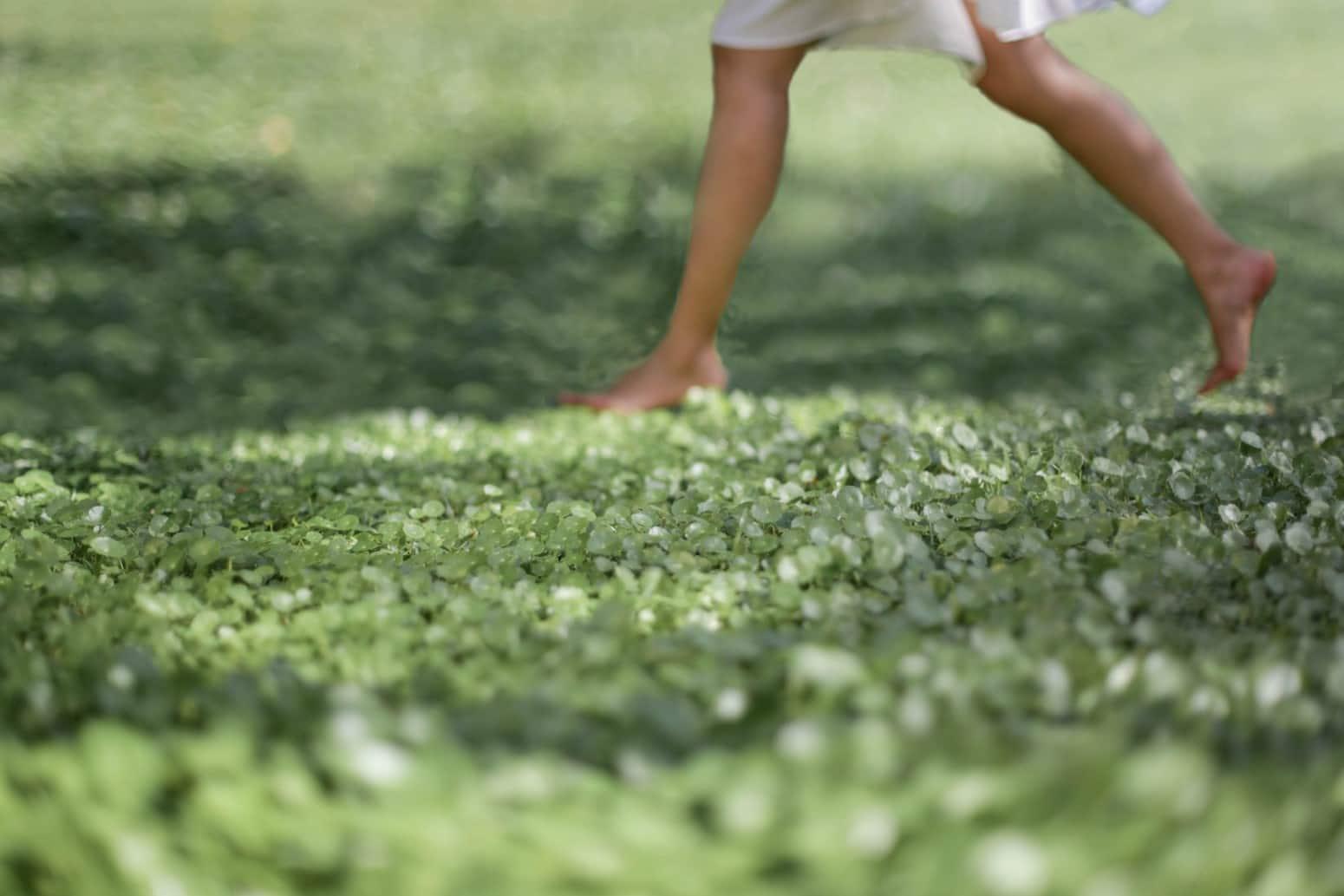 conscious grounding