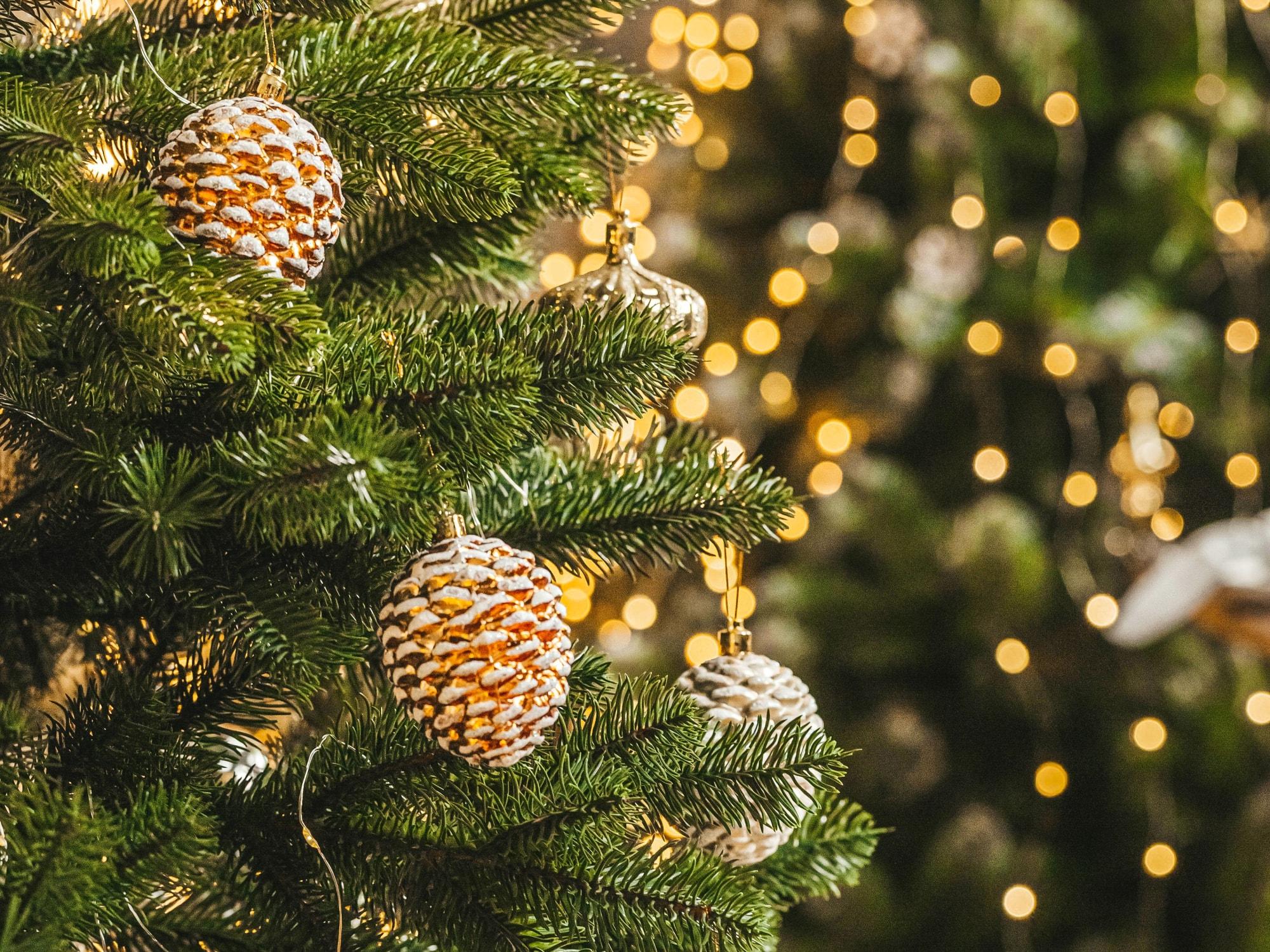 Festive Season