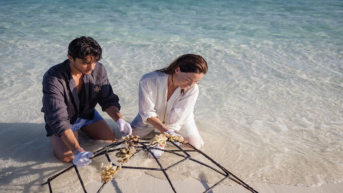 Couple Attaching Corals to a Frame 
