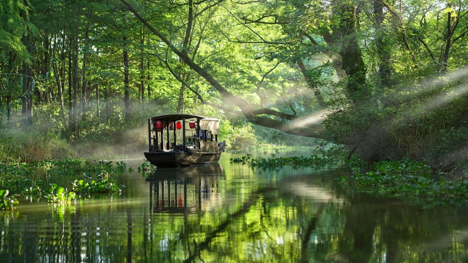 Boat Tea