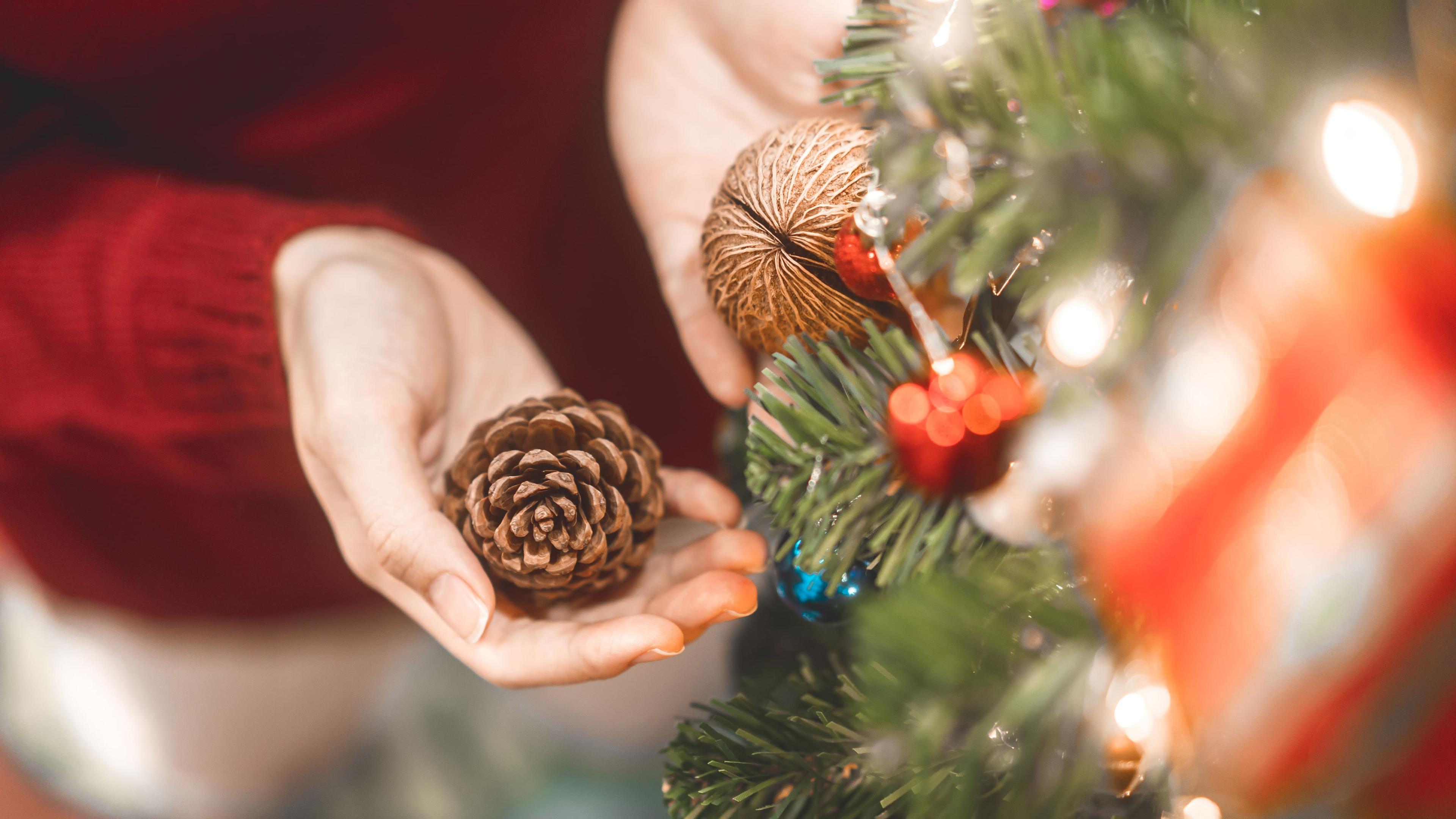 Festive Seasons