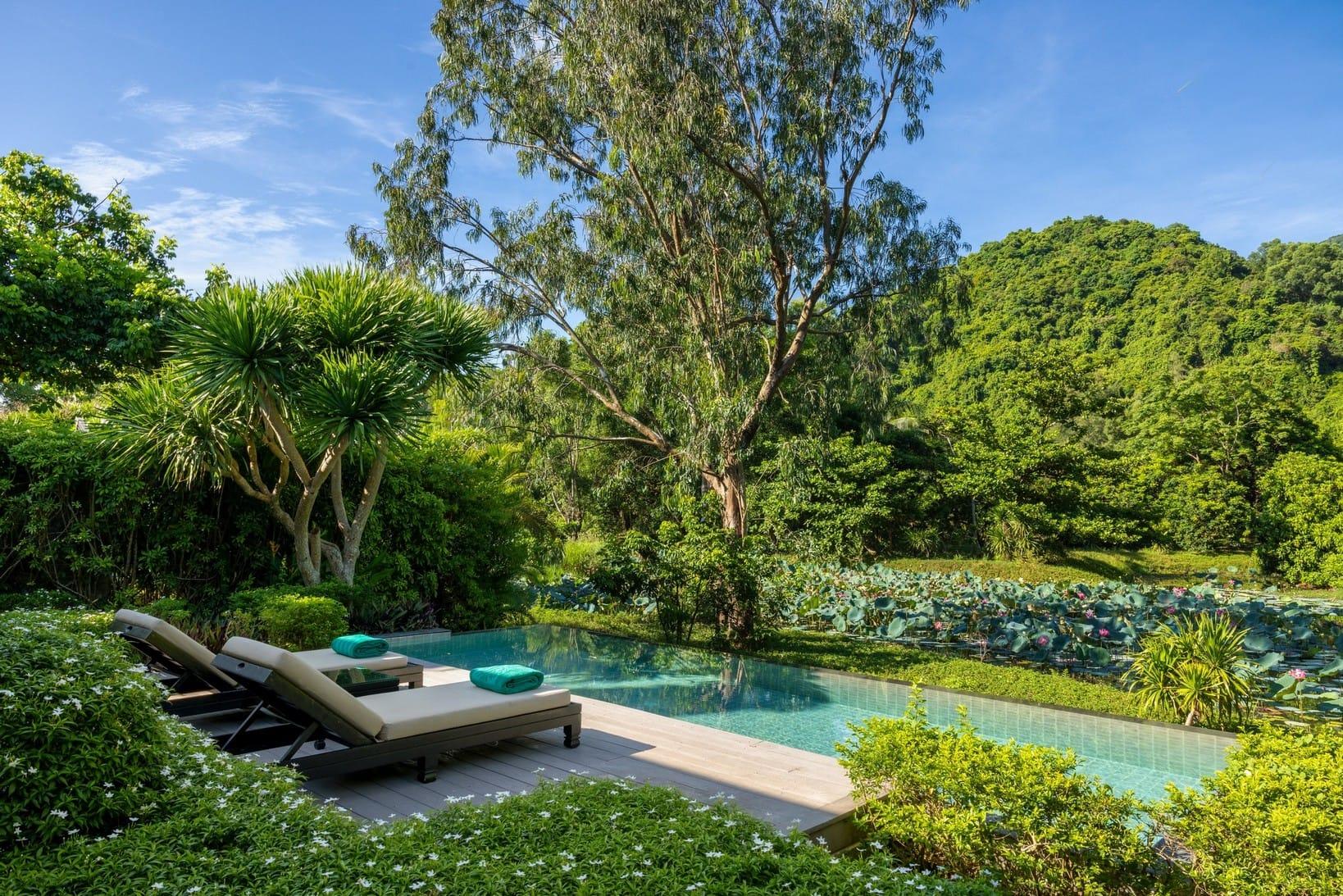 Embracing eco-friendly and biophilic design