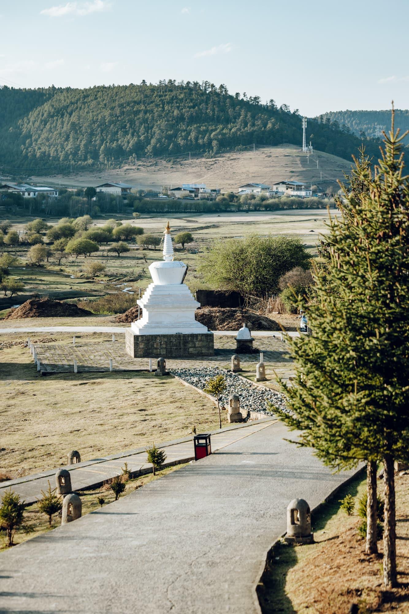 ringha