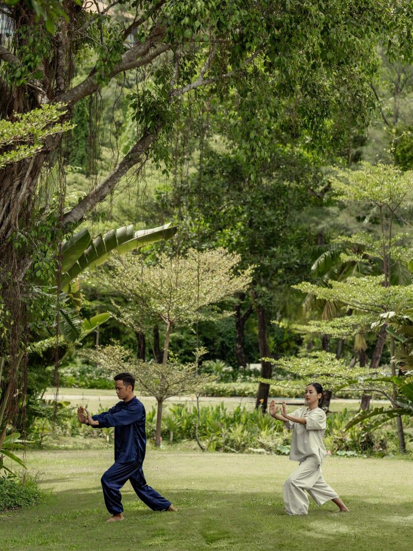 Banyan Tree lang co