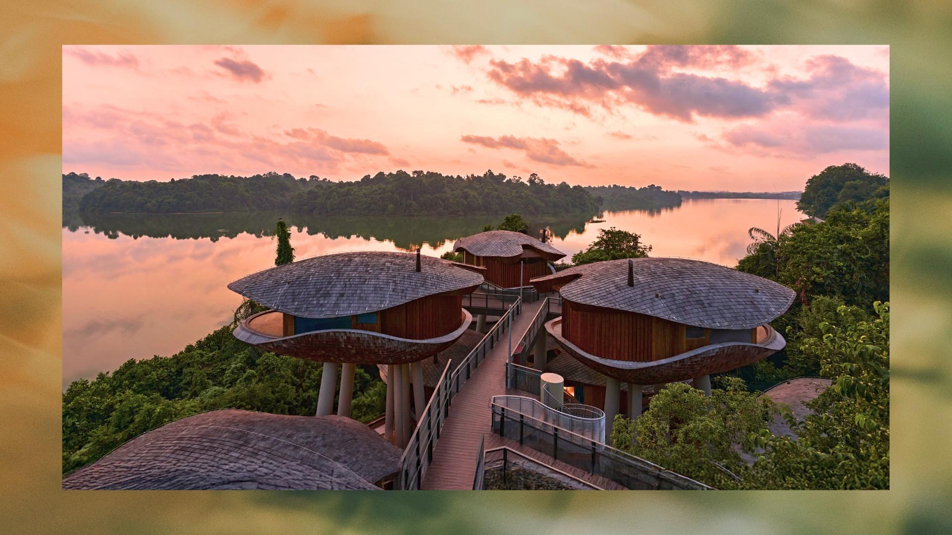 Mandai Rainforest Resort by Banyan Tree