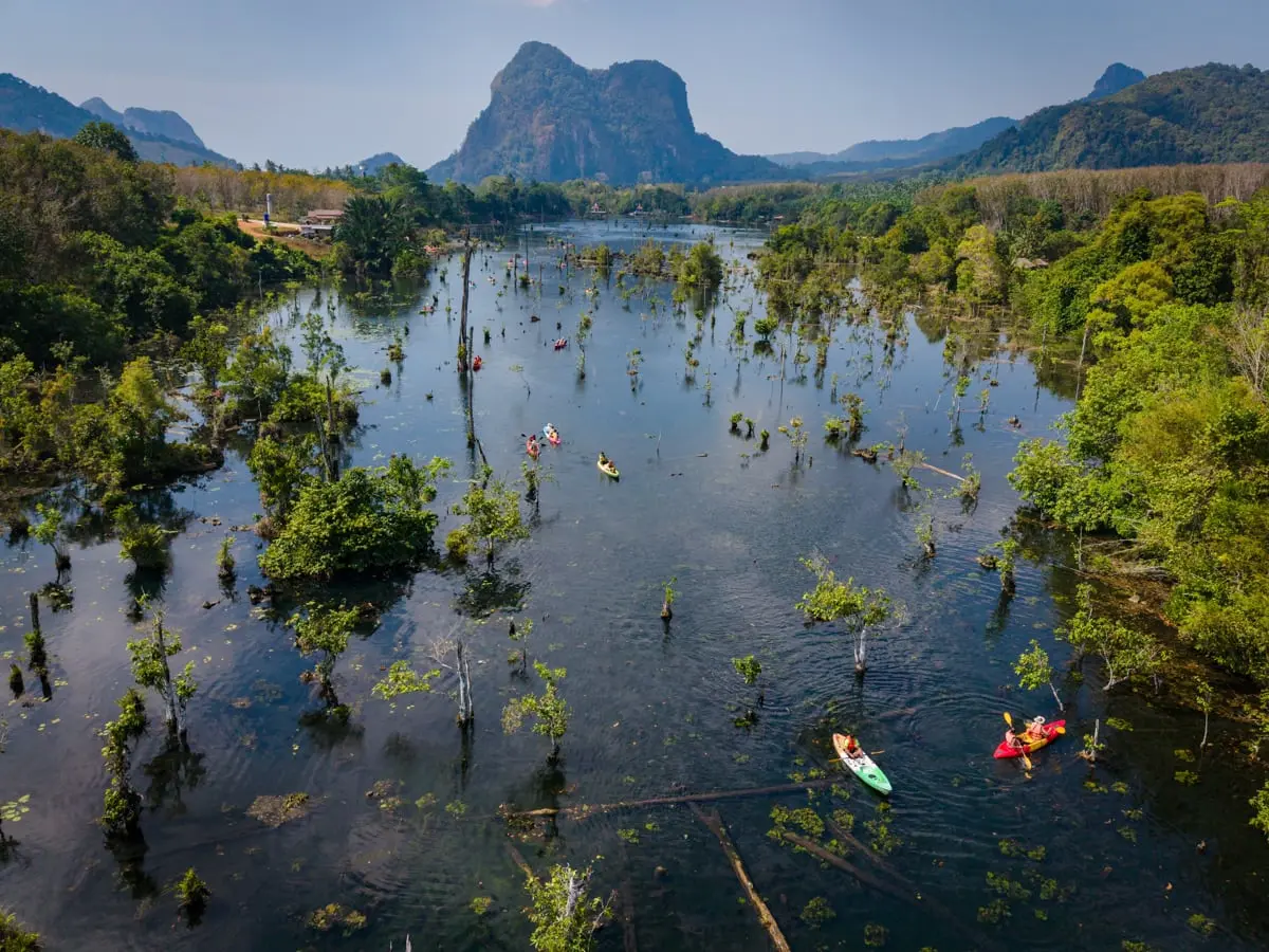 Klong Root