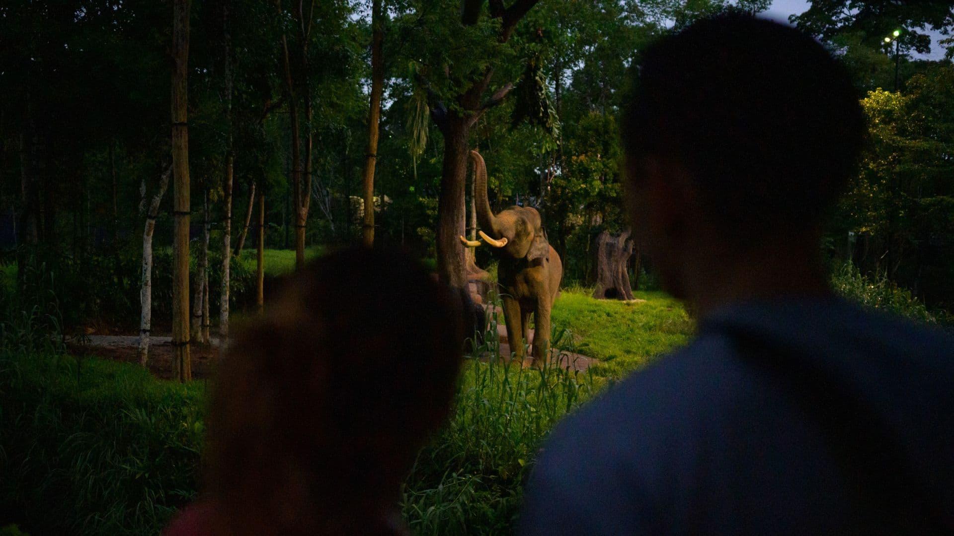 Mandai Rainforest Resort by Banyan Tree Mandai Wildlife Reserve Destination Stay Package