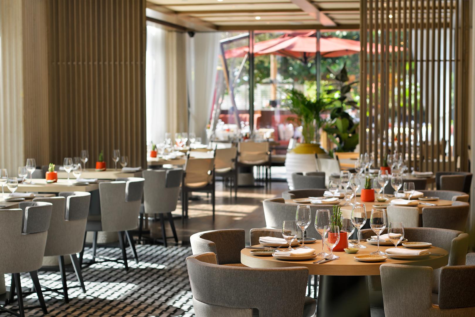 Elegant indoor dining area at Alizée with neatly set tables, contemporary decor, and natural sunlight streaming through floor-to-ceiling windows.