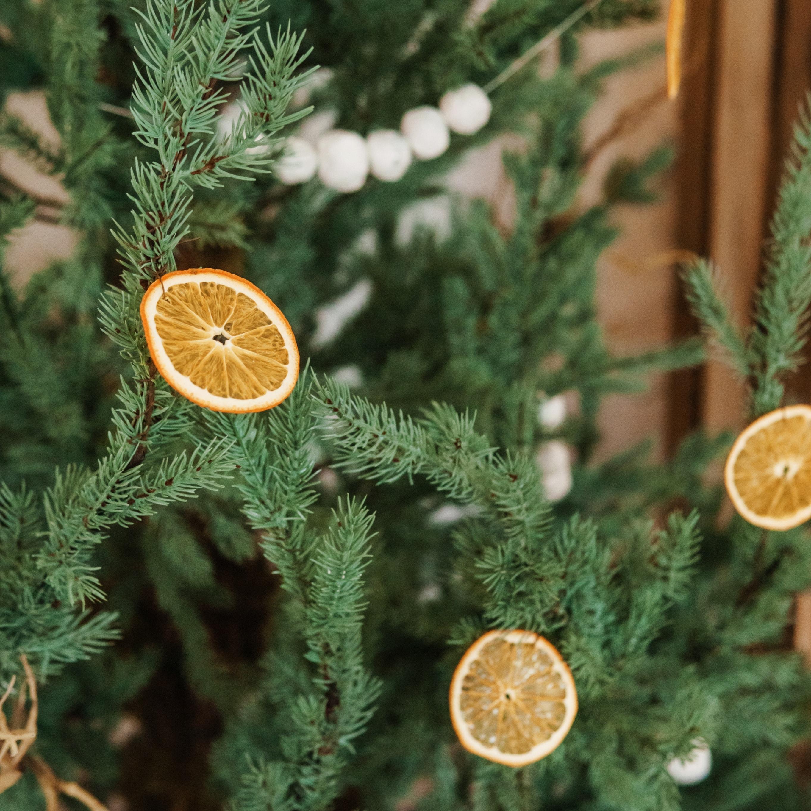 BTMXMY_FESTIVE_2025