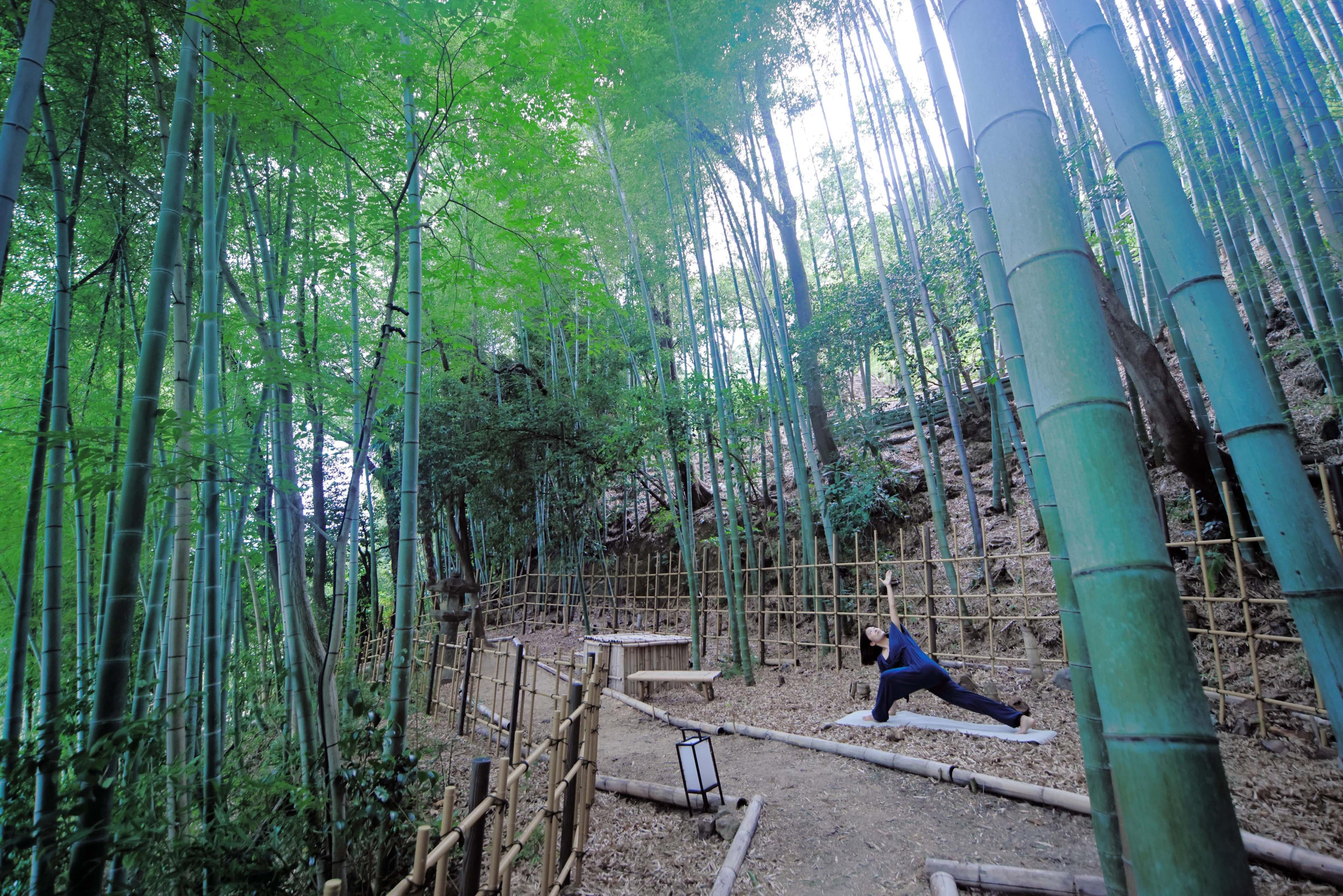 Kyoto Morning Yoga