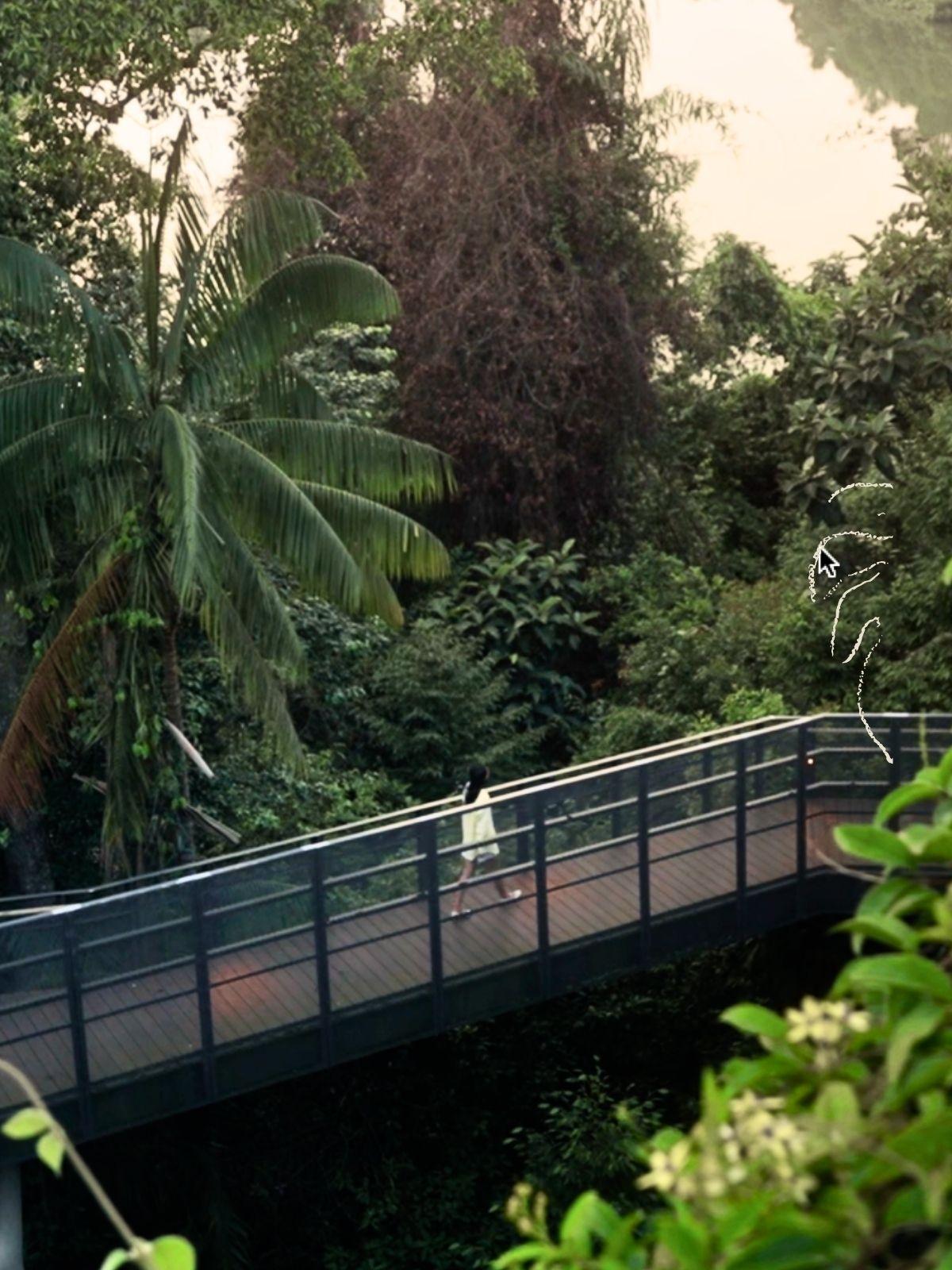 Discovery Trail
