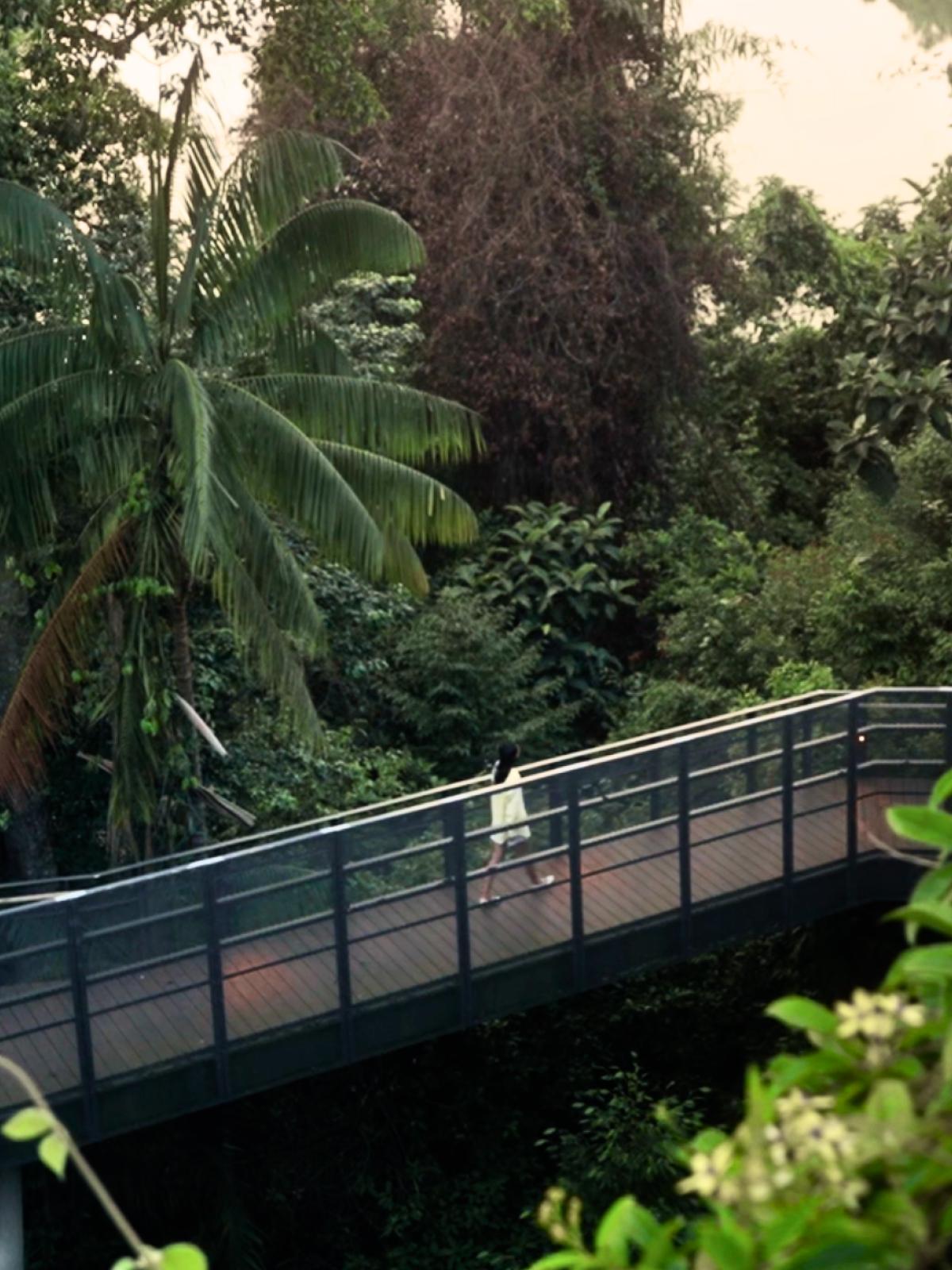 Discovery Trail