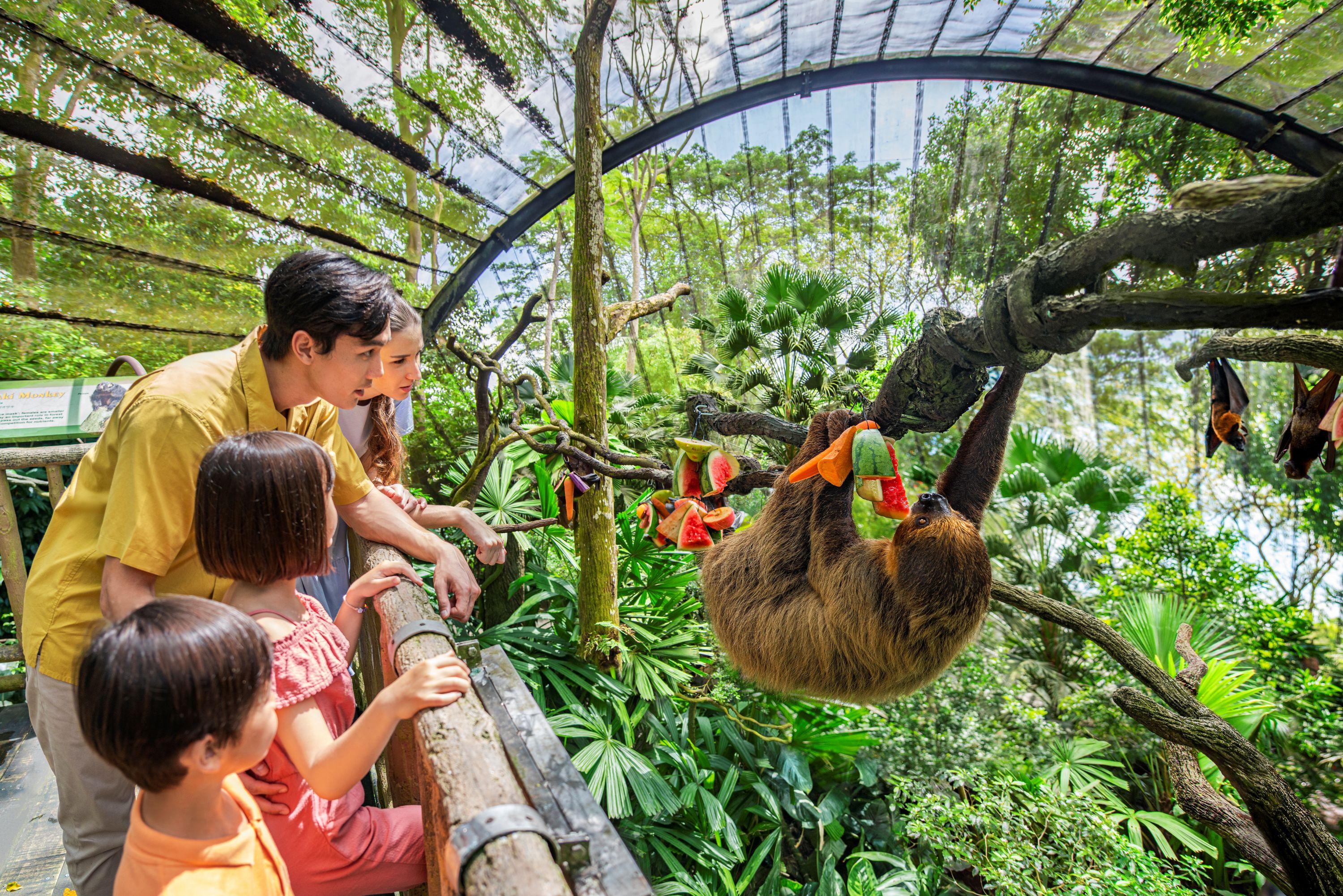 Singapore Zoo - Mandai Rainforest Resort by Banyan Tree