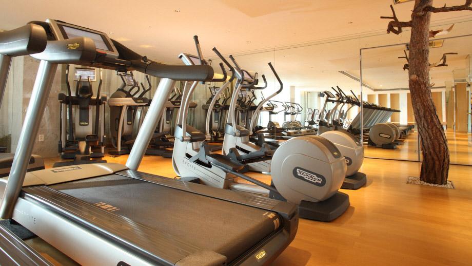 Banyan Tree South Korea Club And Spa Seoul Facilities - Fitness Centre
