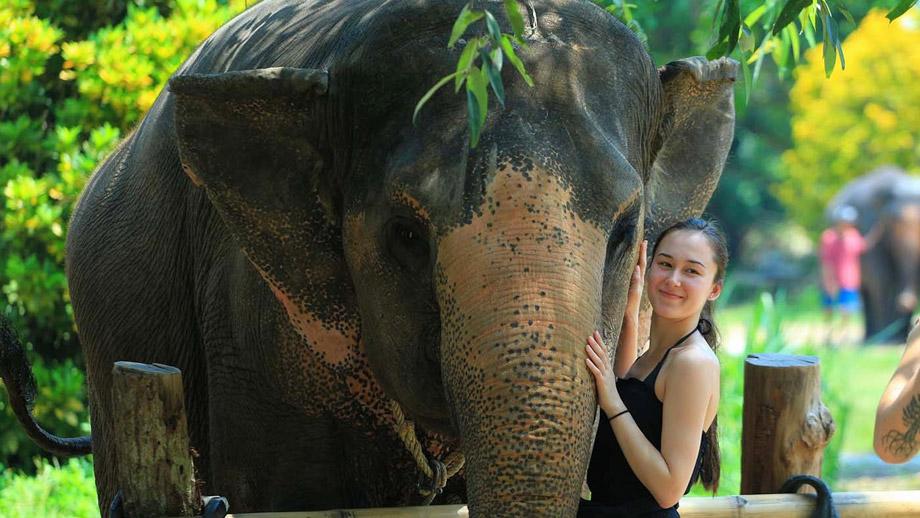 Banyan Tree Thailand Krabi Gallery - Elephant Sanctuary