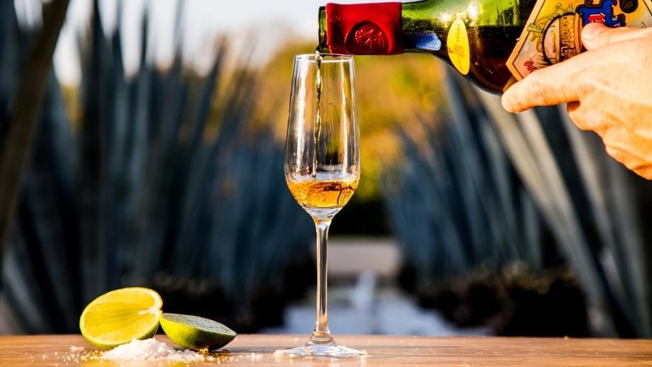 Tequila and Mezcal Tasting