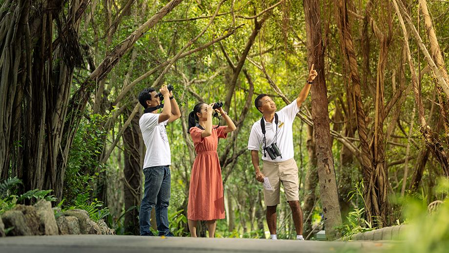 Banyan Tree Thailand Samui Honeymoons - Sense Of Nature Walk