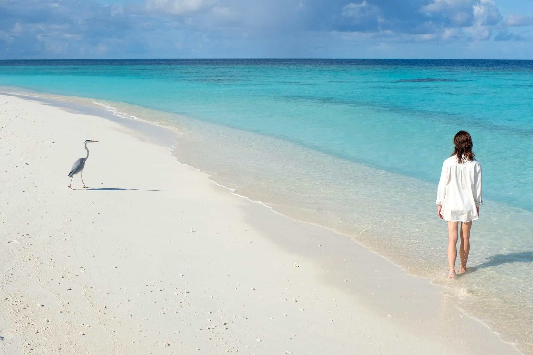 white sandy beach with woman and bird conservation at properties