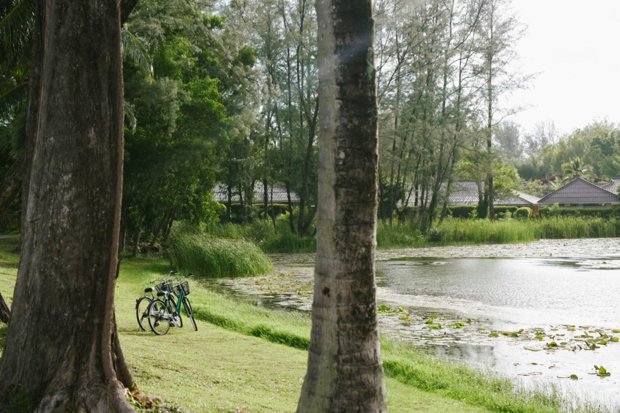 bicycles next to a lake in nature