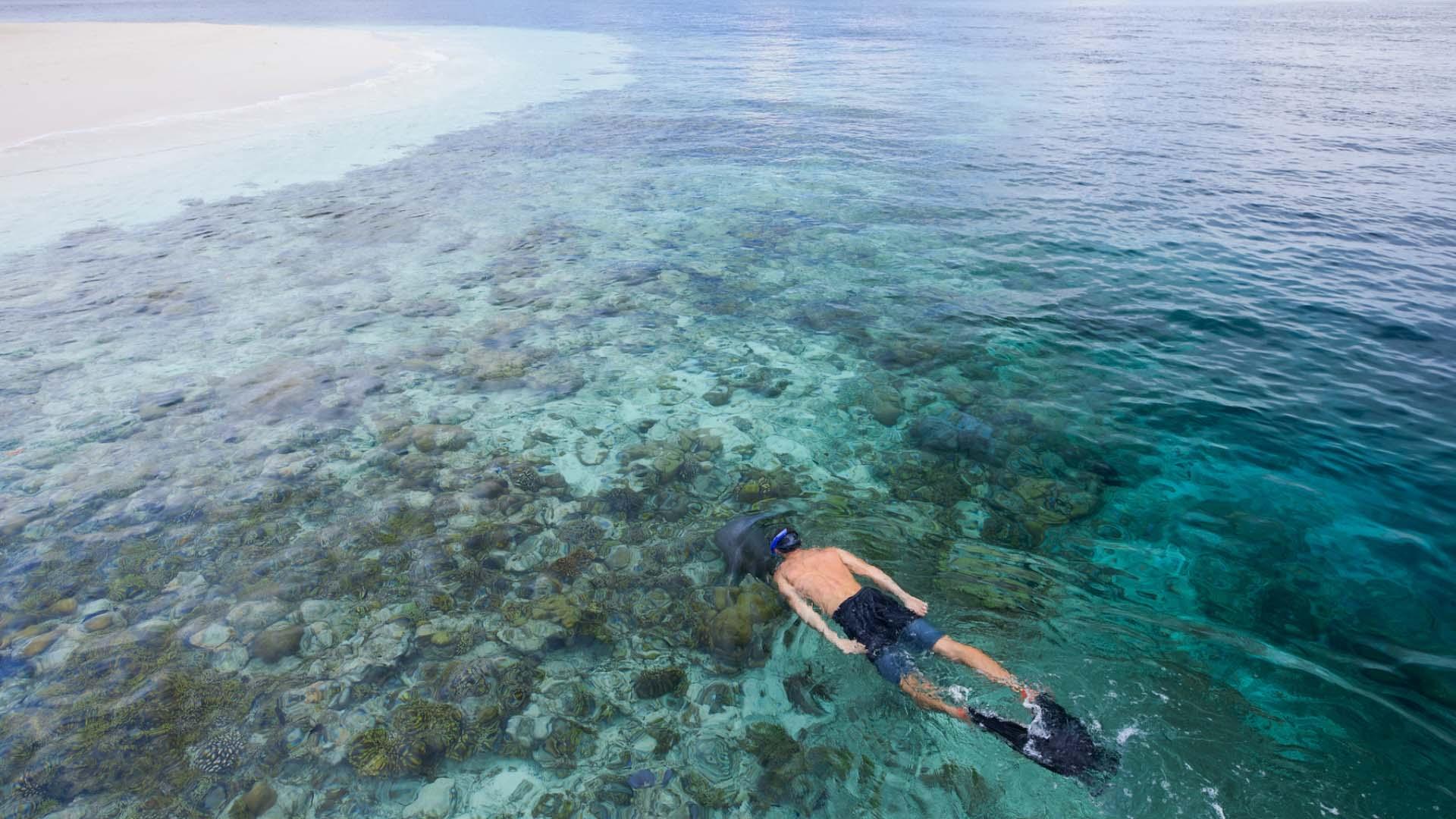 Guest Snorkelling