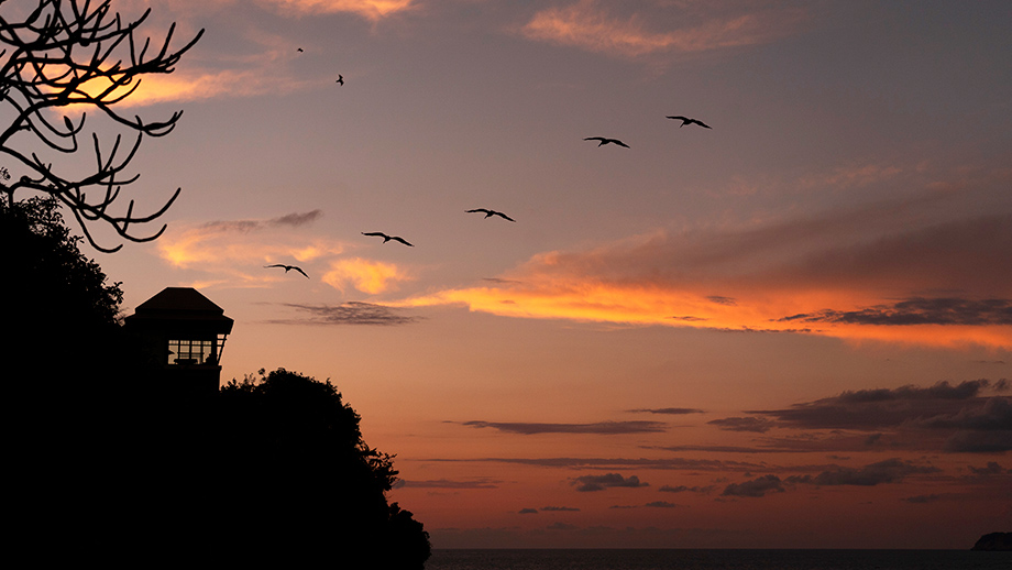 Acapulco Mexico Honeymoon Experiences