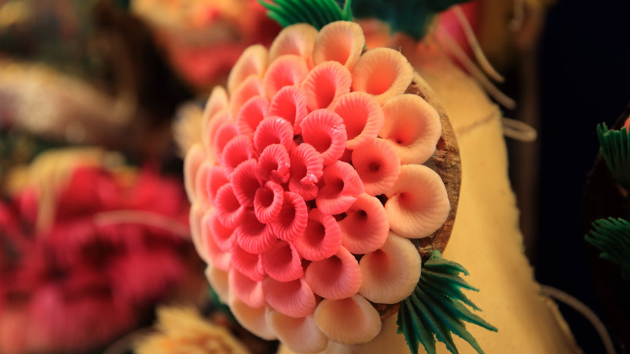 Banyan Tree China Jiuzhaigou Experiences - Festivals Tibetan New Year