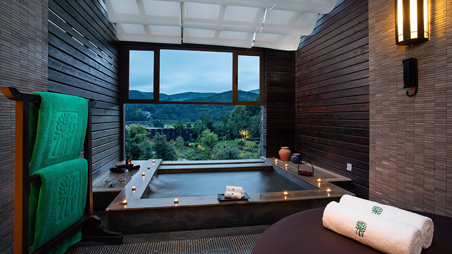 hot-spring-retreat-twin-other-image