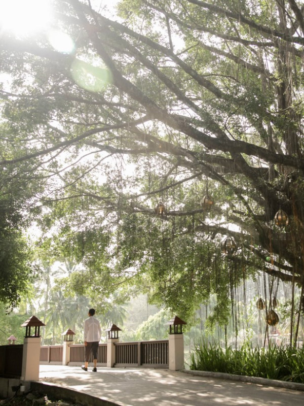 Banyan Tree Press Releases - Post Covid Wellbeing