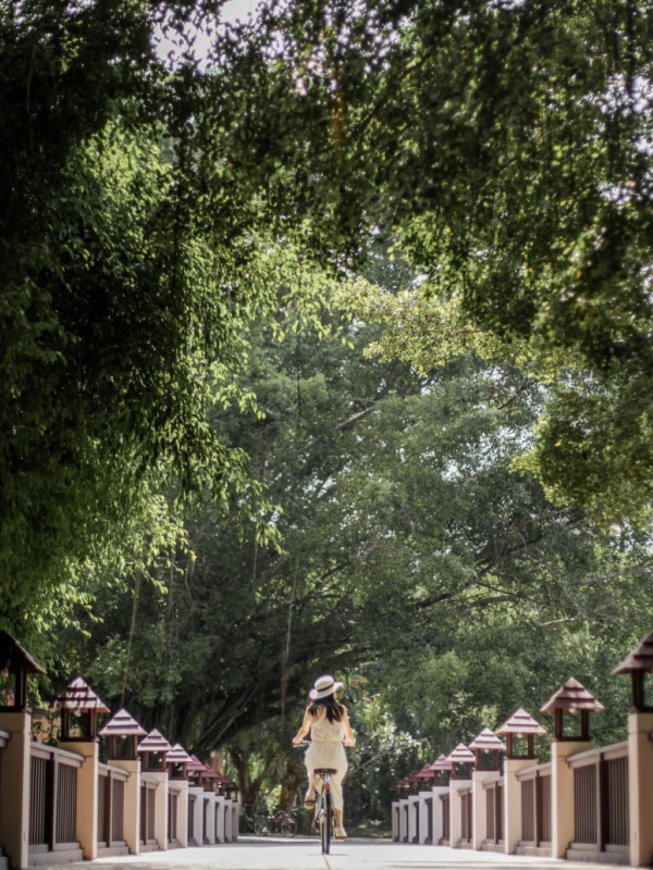 Banyan Tree Press Releases - Earthday Canopy Project