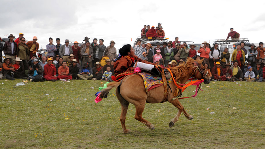 horse racing ringha
