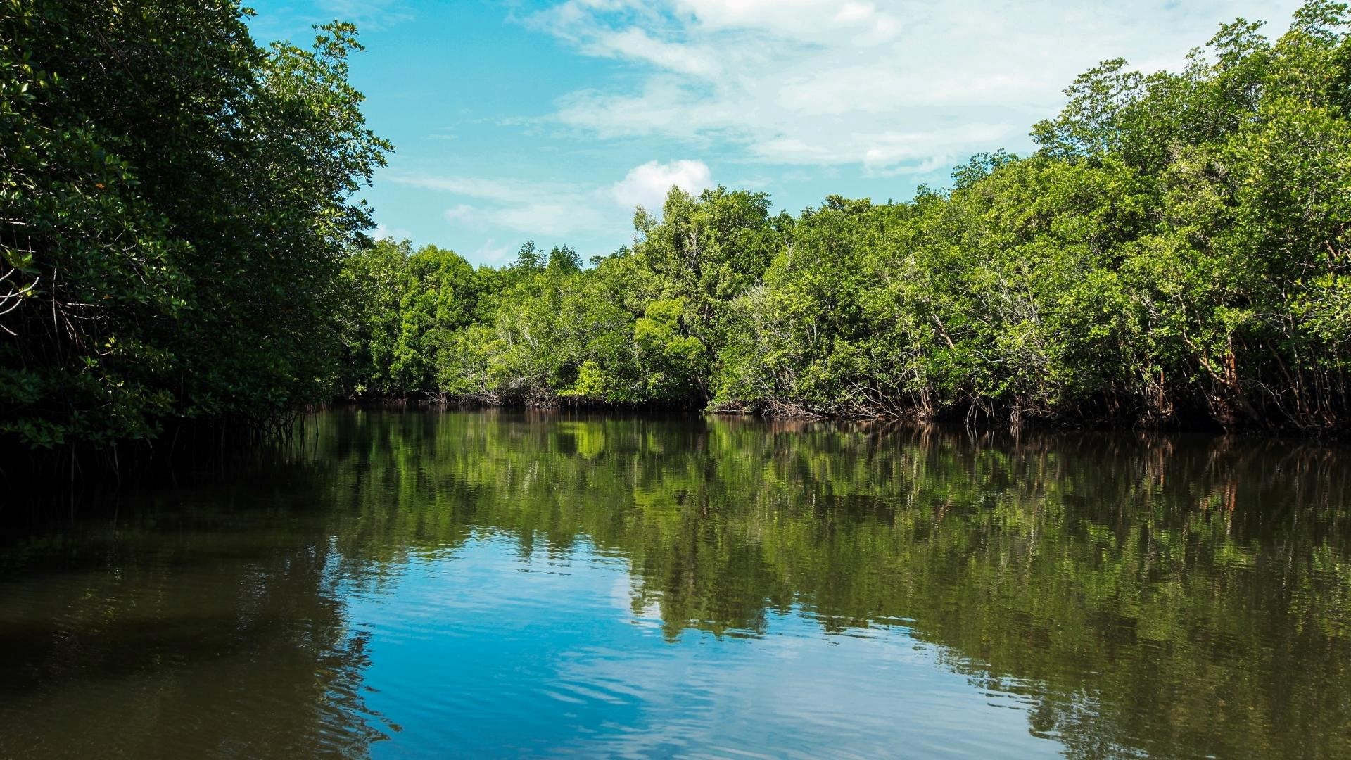 Banyan Tree Bintan Island Attractions