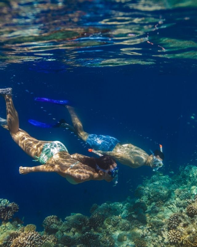 Banyan Tree Vabbinfaru Maldives Snorkeling