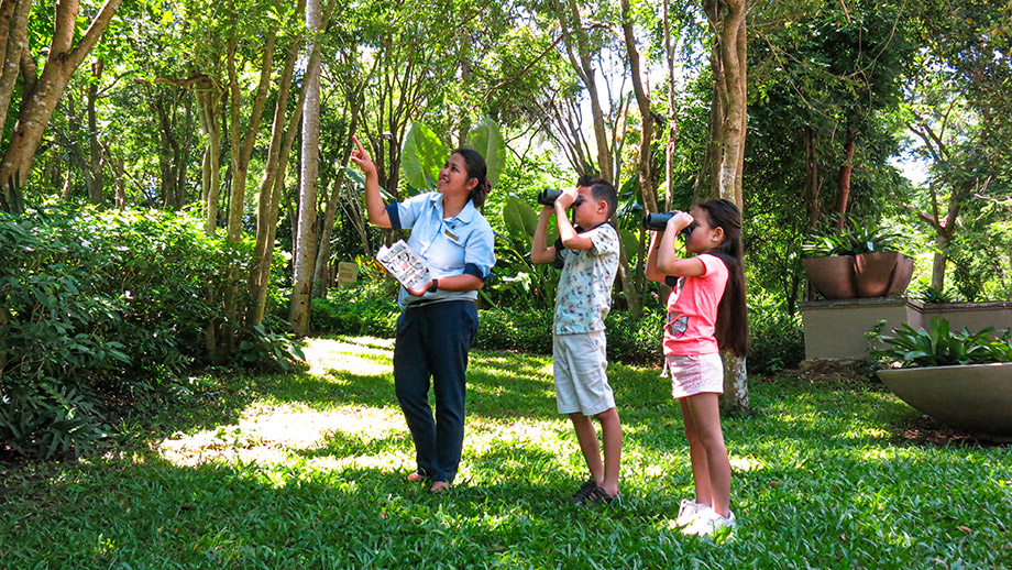 sense of nature walk kids