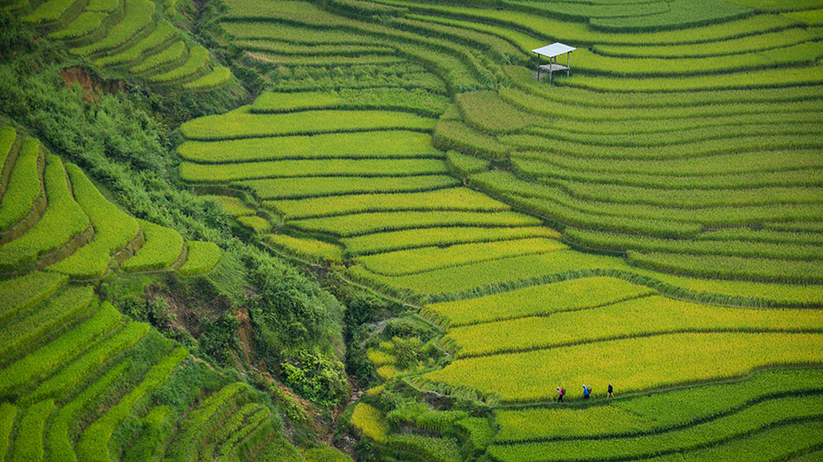 Banyan Tree Vietnam - Feature