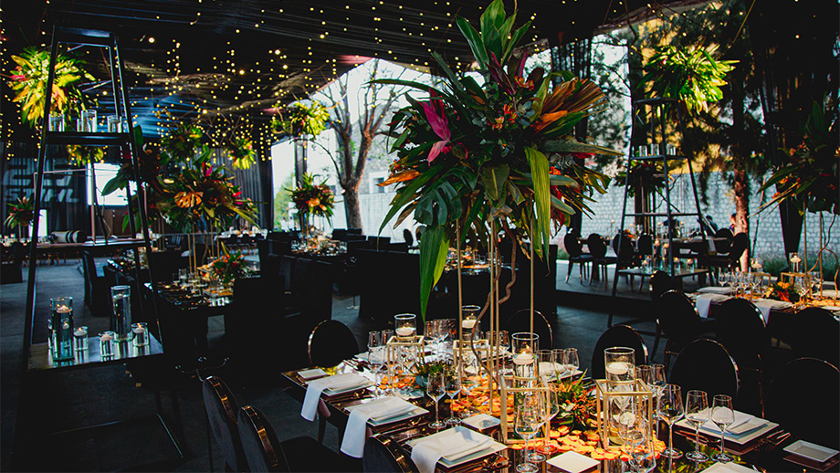 Trinitarias corporate set up 