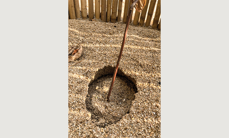 Banyan Tree Samui - Sea Turtles