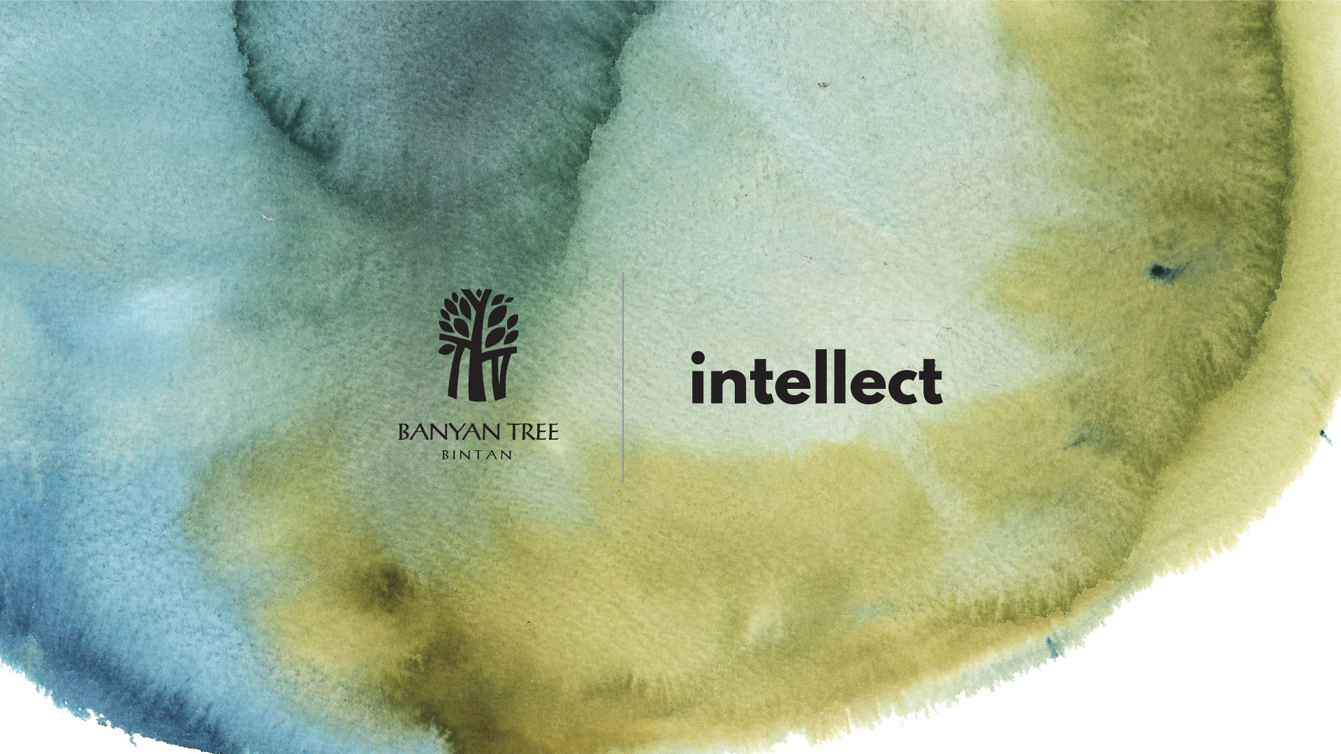 banyan tree x intellect