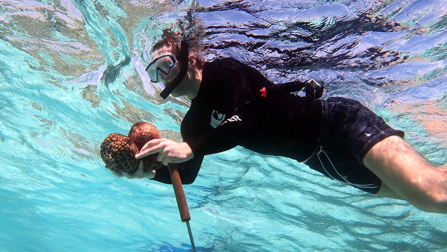 Banyan Tree Vabbinfaru Maldives Reef Cleaning