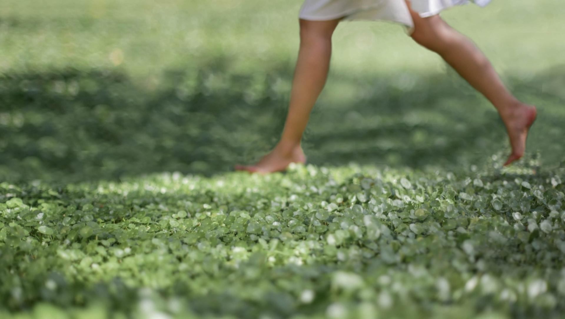 Our Wellbeing Philosophy