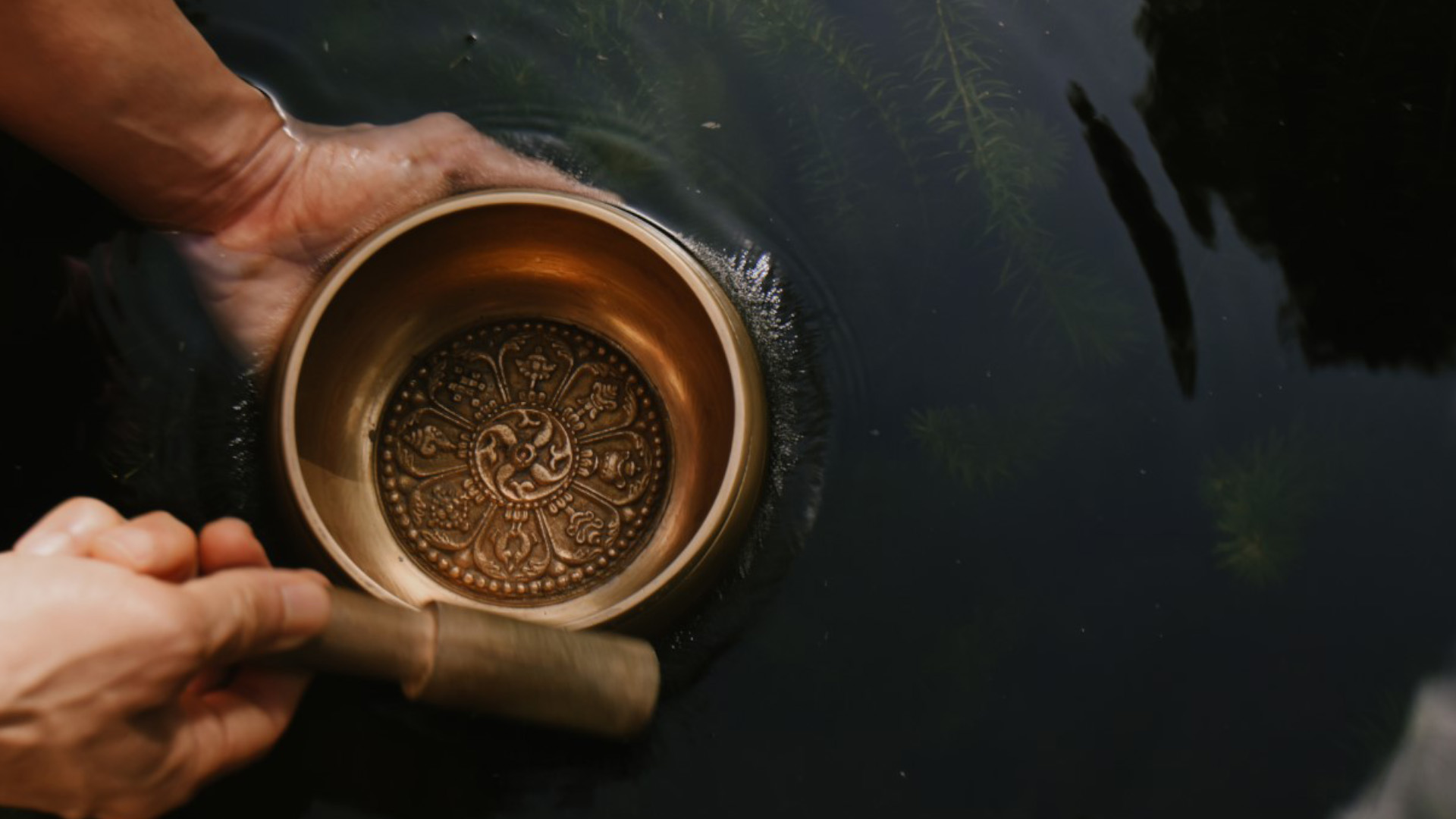 Wellbeing Retreats in Maldives