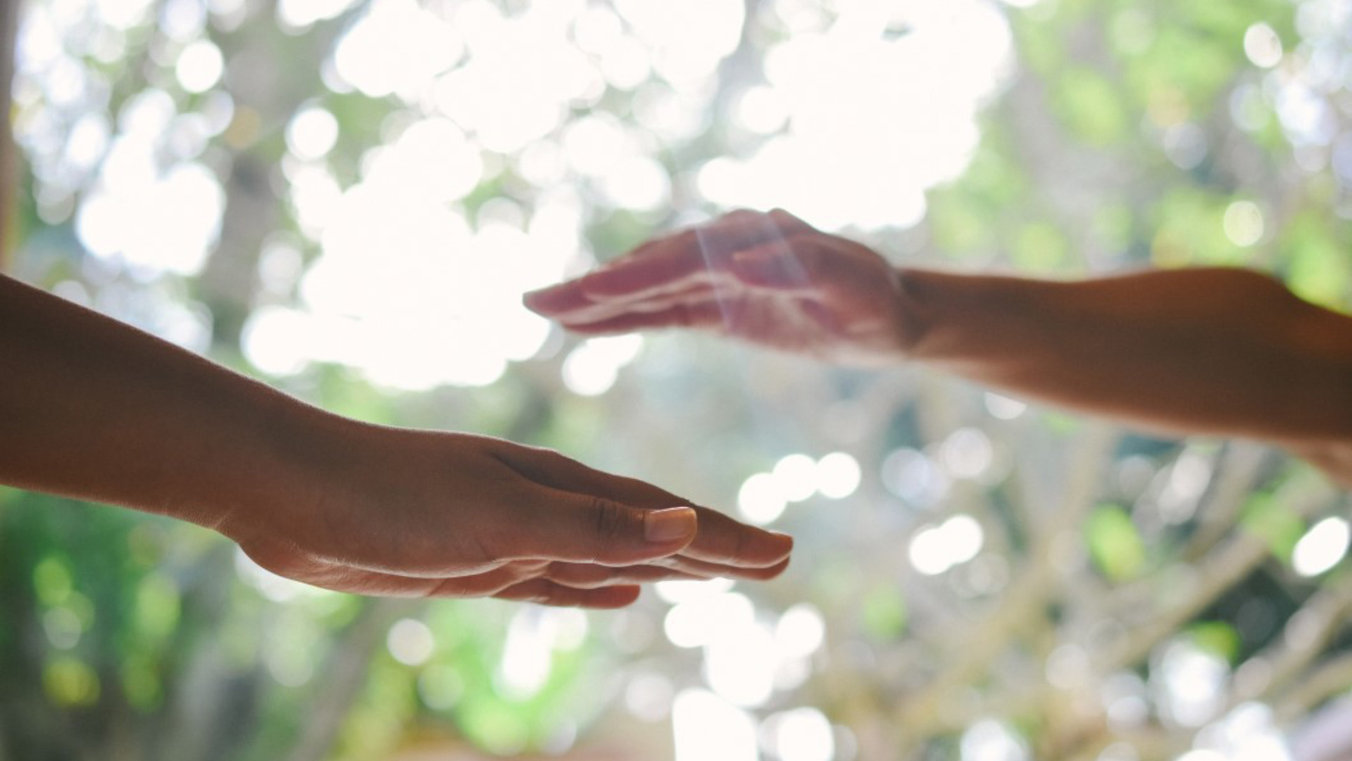 Wellbeing Consultation